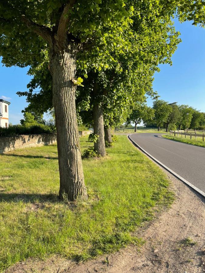 Mitten In Der Natur : Ferienwohnung Mit 3 Schlafzimmern, Neu Eingerichtet Neu Gaarz Εξωτερικό φωτογραφία